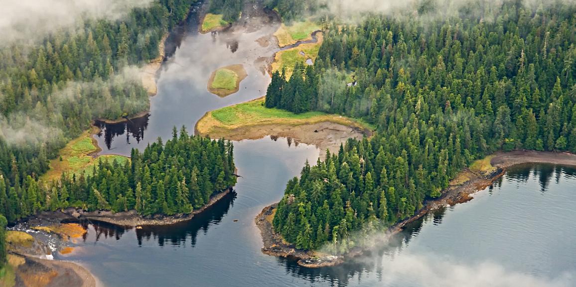 e6c4344177b73c32da105ff019144a88_Tongass-aerial-1156-577-c