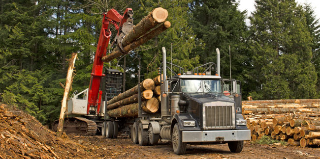 ffrc-post-feature-legislation-seeks-to-promote-family-logging-businesses